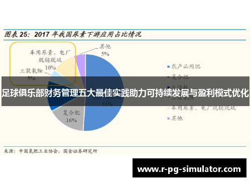 足球俱乐部财务管理五大最佳实践助力可持续发展与盈利模式优化